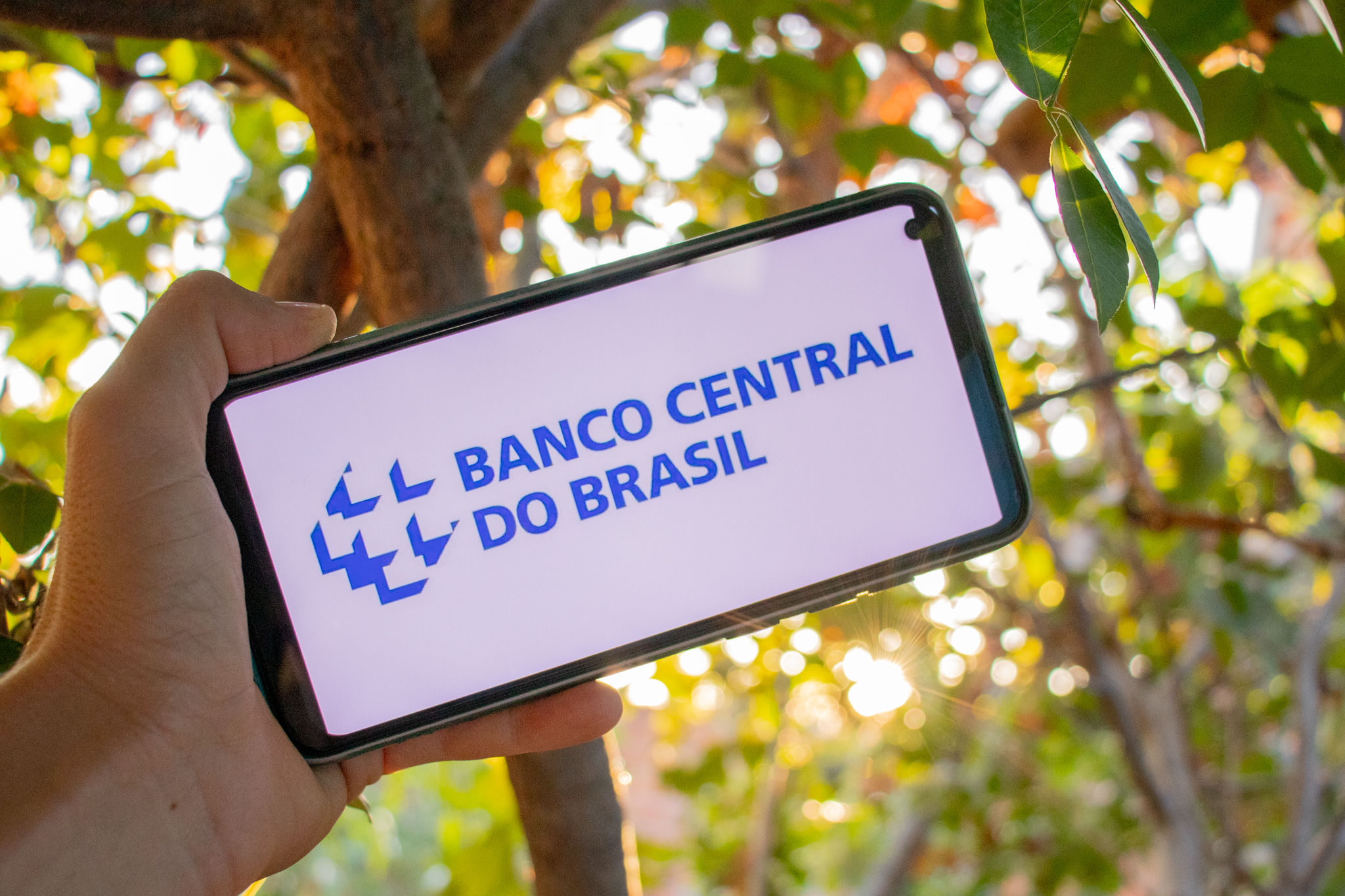 De cara nova! Banco Central promete GRANDE MUDANÇA no PIX a partir do próximo ano; veja