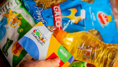 Qual é o valor da CESTA BÁSICA do Bolsa Família? Agosto promete REAJUSTES!