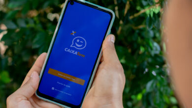 Já checou seu Caixa Tem hoje? Usuários que recebem Bolsa Família já podem liberar PRESENTE no app; confira