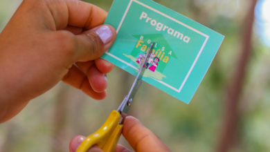 Bolsa Família corta 325 MIL beneficiários – veja se você está na lista