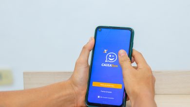 Se você percebeu que tem dados incorretos no Caixa Tem, veja como consertá-los.