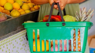 Cartão alimentação