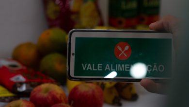 Alimentação