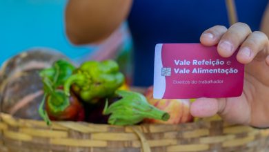 Alimentação