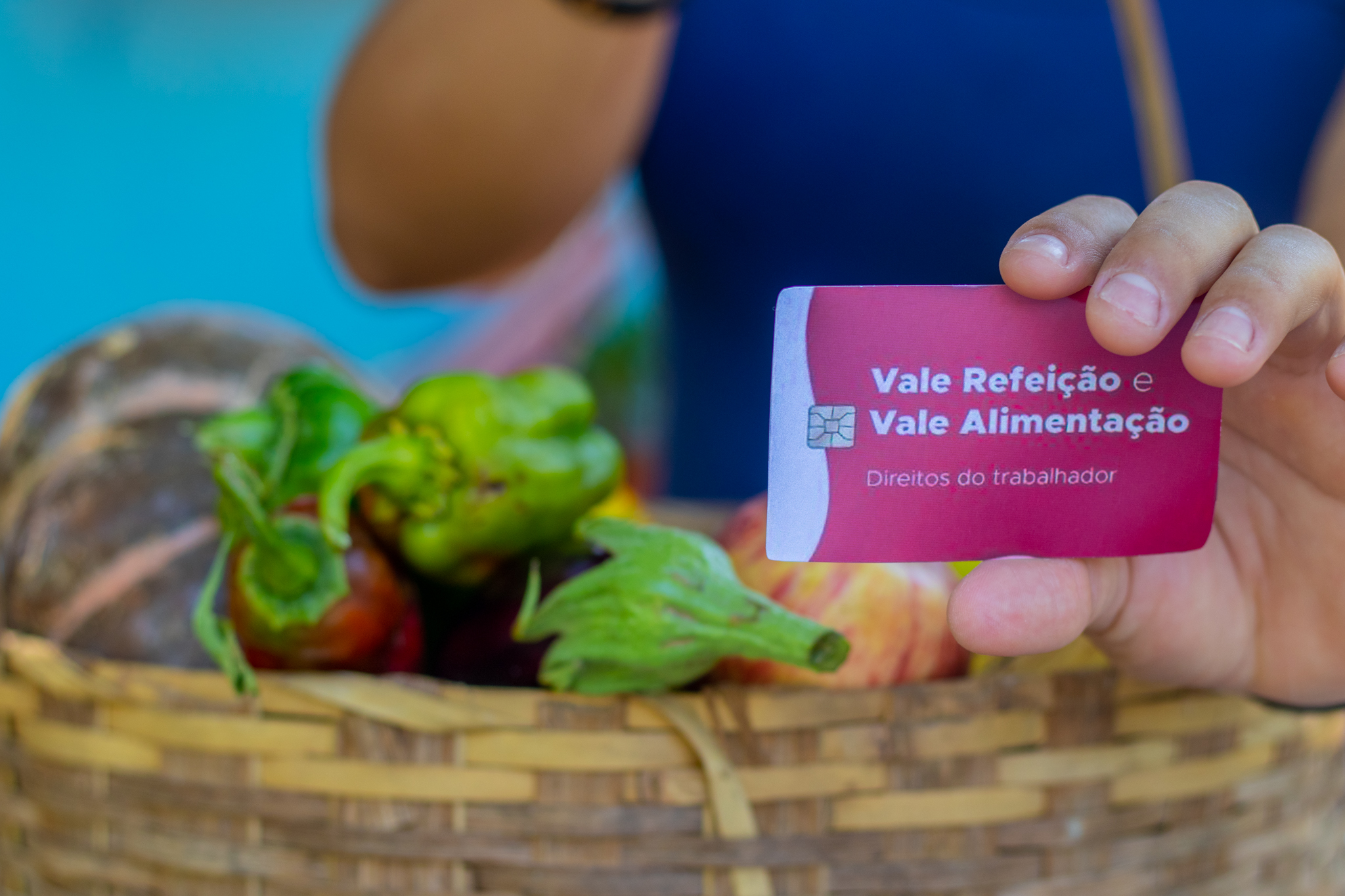 Alimentação