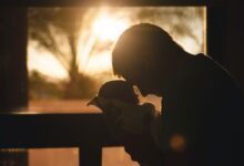 Os profissionais autônomos também podem ter acesso à licença-maternidade.