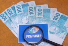 O governo pode criar uma nova modalidade de PIS para contemplar trabalhadores domésticos.