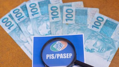 O governo pode criar uma nova modalidade de PIS para contemplar trabalhadores domésticos.